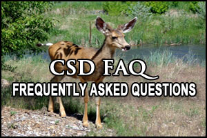 CSD FAQ